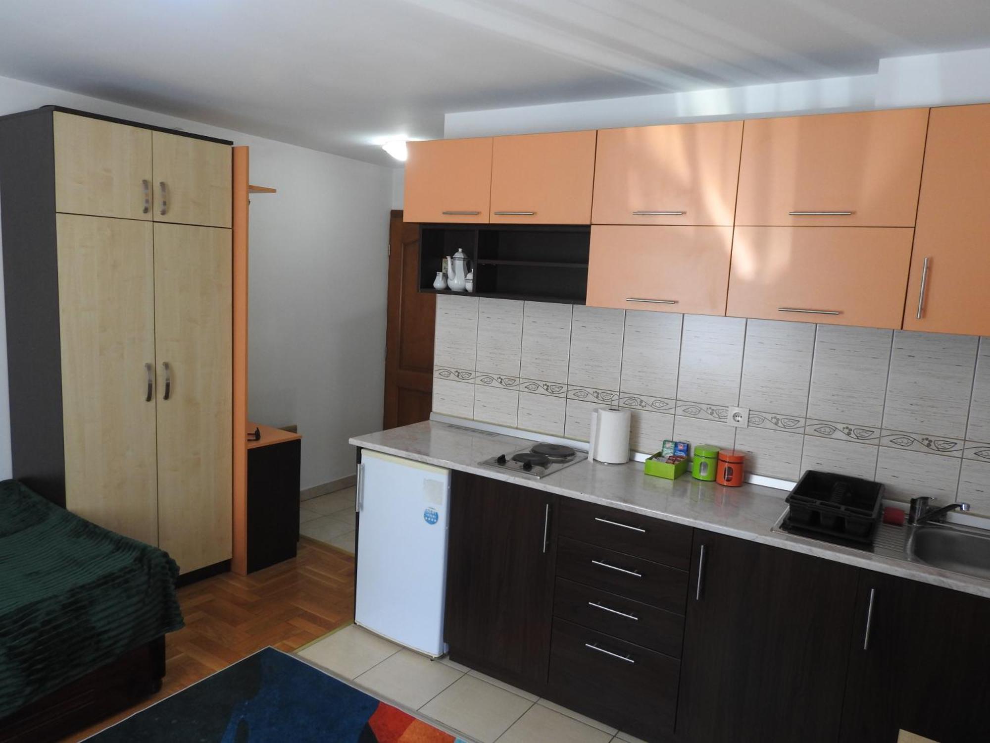 Apartman Ogi ズラティボール エクステリア 写真
